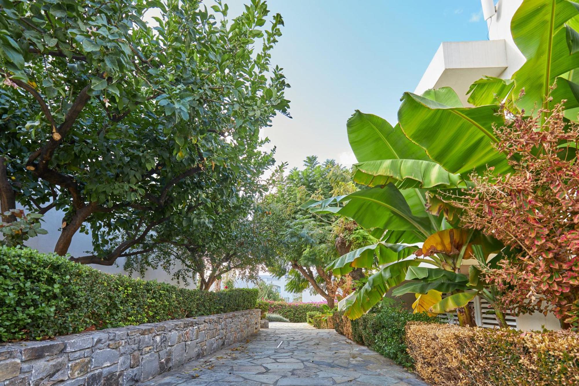 Kyknos Beach Hotel & Bungalows Malia Exteriér fotografie